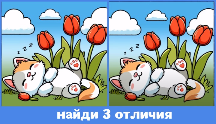 Тест на внимательность «Кот — бархатный живот»: найди отличия и проверь свой IQ