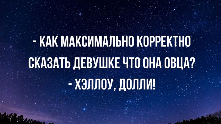 Юмор за день овечка Долли