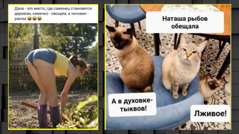 Прикольные картинки с надписями и лживая Наташа