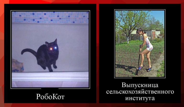 Новые демотиваторы и дачный сезон