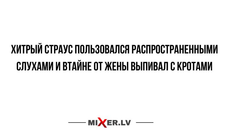 Юмор за день и хитрый страус