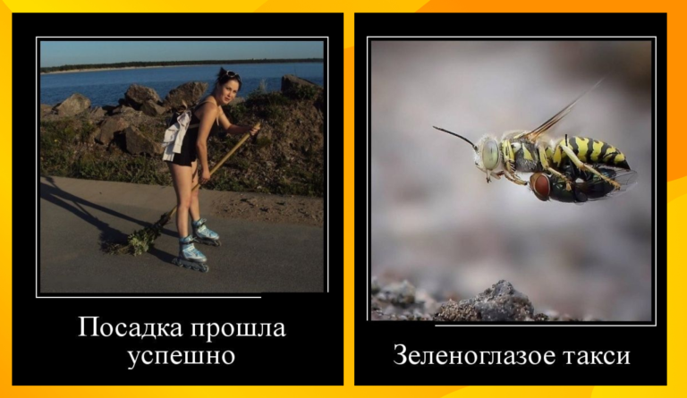 Новые демотиваторы и посадка на метлу