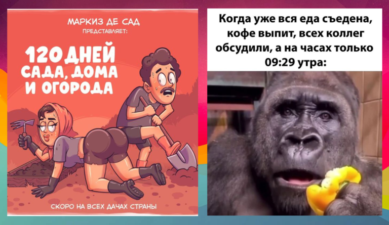 Прикольные картинки с надписями и сад с огородом