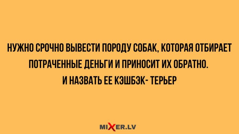 Юмор за день и кэшбэк- терьер