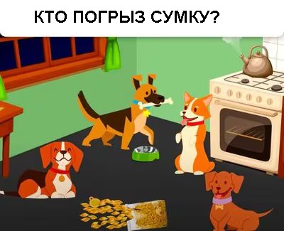 Какая собака погрызла сумку? Узнайте менее чем за 12 секунд