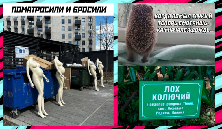 Прикольные картинки с надписями и поматросил чтобы бросить