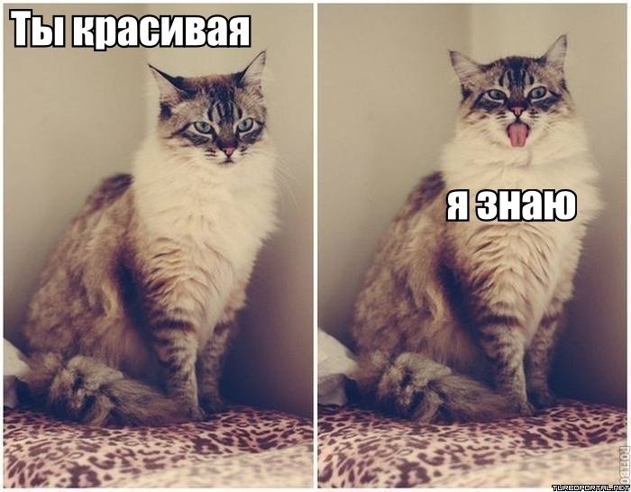 Знаки зодиака по степени привлекательности: полный рейтинг