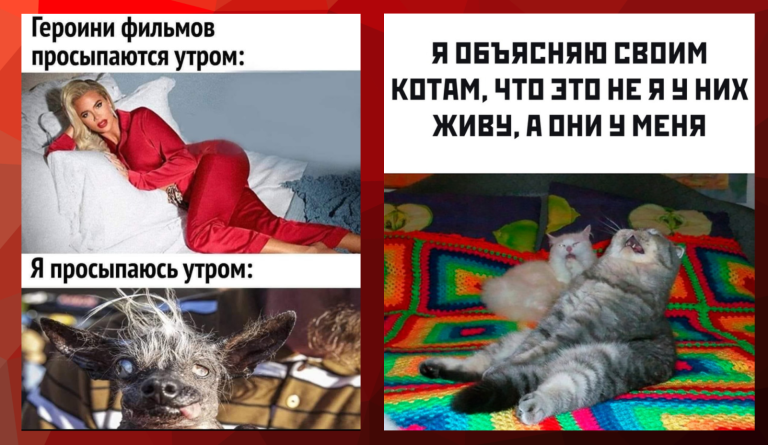 Прикольные картинки с надписями и героини фильмов