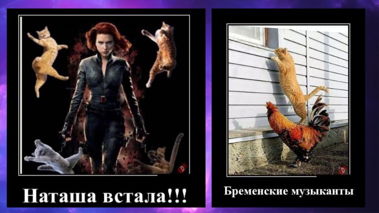 Новые демотиваторы и бременские музыканты