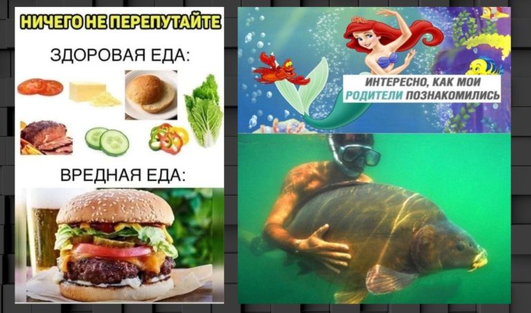Прикольные картинки с надписями и вредная еда