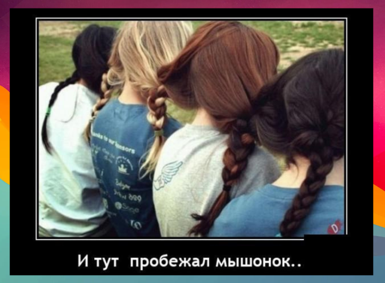 Новые демотиваторы и волосы в косичках