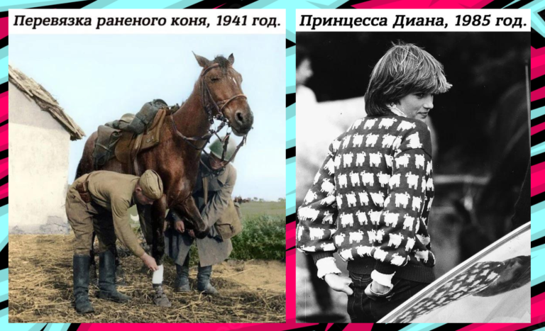 Принцесса Диана в свитере с овечками и другие уникальные фотографии из пошлого
