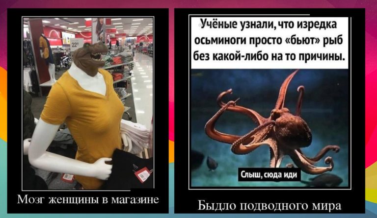 Новые демотиваторы и быдло подводного мира