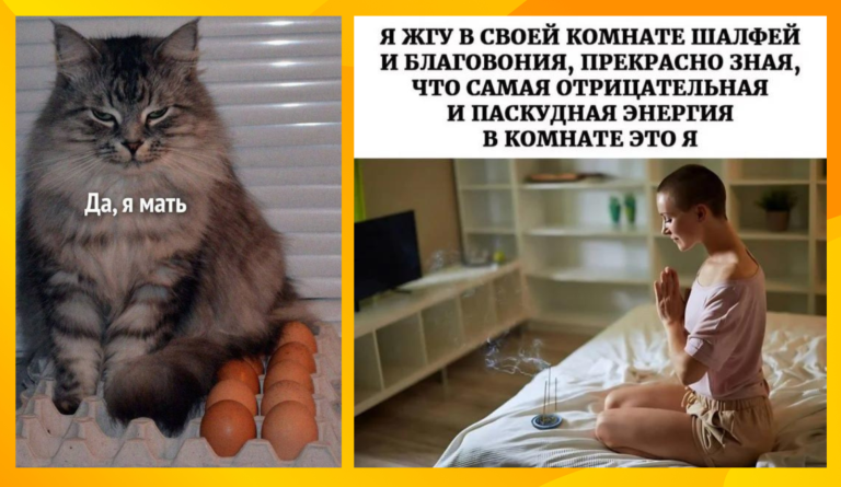 Прикольные картинки с надписями и паскудная энергия