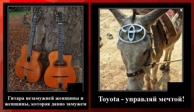 Новые демотиваторы и гитара незамужней женщины