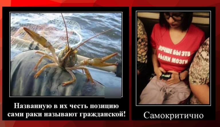 Новые демотиваторы и гражданская позиция