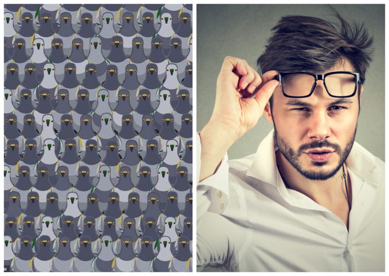 IQ-тест на зоркость: только 1% людей с орлиным зрением могут обнаружить кошку среди голубей за 8 секунд!