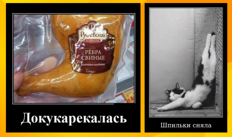 Новые демотиваторы и свиные рёбра