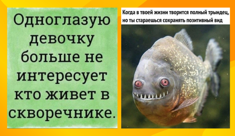 Прикольные картинки с надписями и позитивный настрой