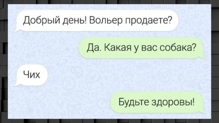 14 смешных смс-переписок и чихуахуа