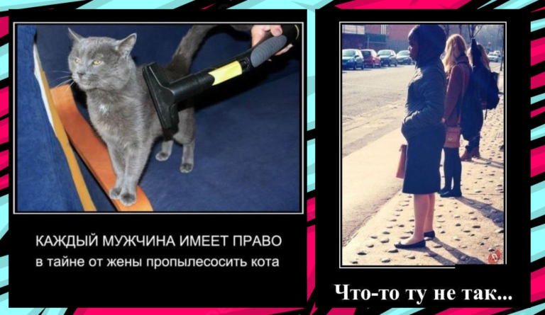 Новые демотиваторы и пропылесосить кота