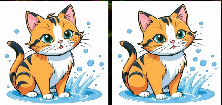 Проверка котиков: Мимо не проходим — отличия находим!