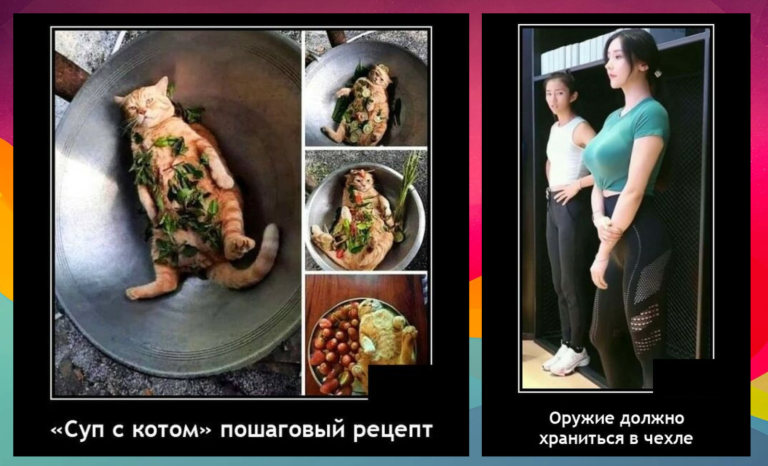 Новые демотиваторы и суп с котом