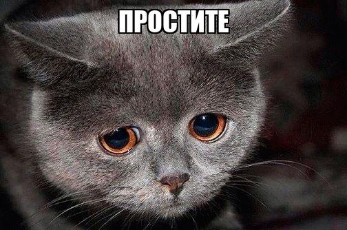 9 вещей, за которые не следует извиняться: советы психолога