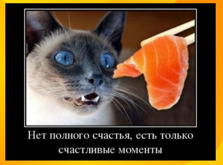 Новые демотиваторы и моменты счастья
