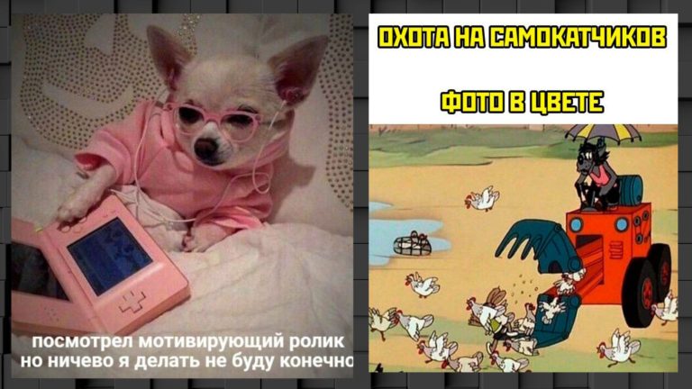 Прикольные картинки с надписями и охота на самокаты