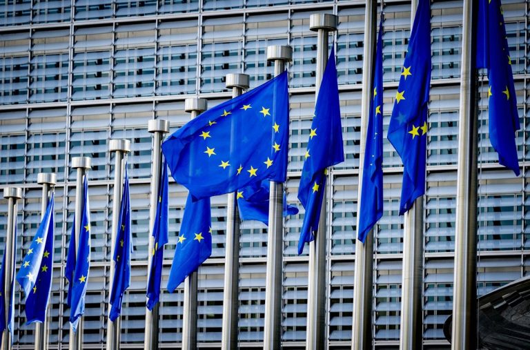 Официально: ЦИК утвердила результаты выборов в Европарламент