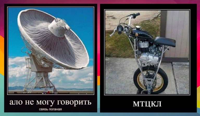 Новые демотиваторы и связь с поганками