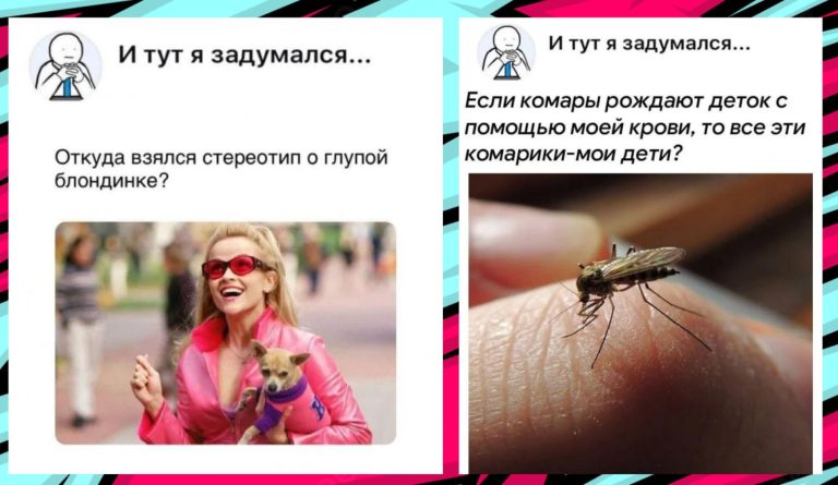 Откуда взялись шутки про блондинок и ещё 15 мыслей из серии «И тут я задумался»