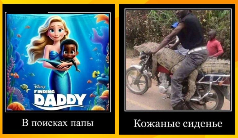 Новые демотиваторы и поиски папы