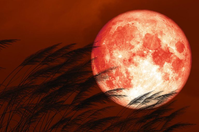 Во время «клубничного» полнолуния исчезнет одна из ярчайших звезд на небе