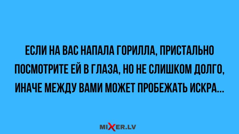 Юмор за день и горилла