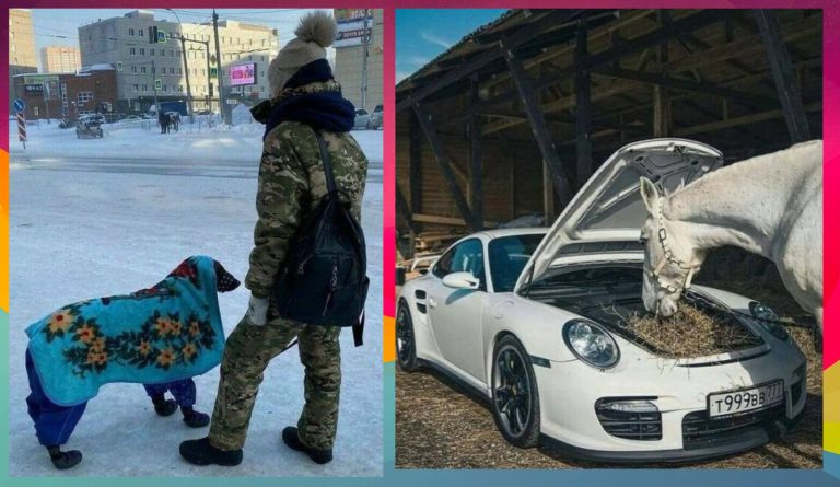 Труднообъяснимые фотографии на которых творится что то дикое