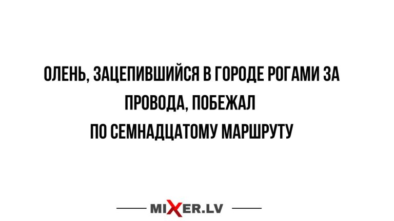 Юмор за день и семнадцатый маршрут
