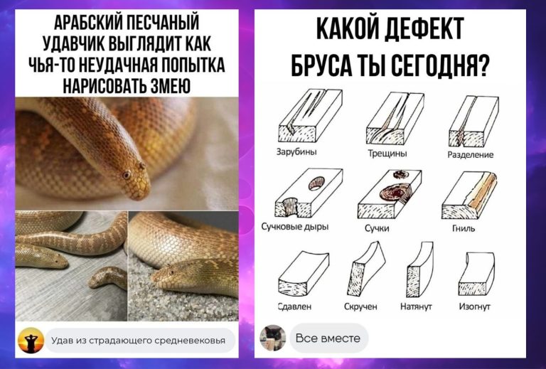 Забавные комментарии, которые как острый соус приправляют сам пост