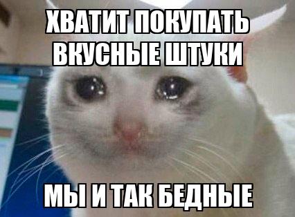 7 фраз, которые ведут к бедности: как наши мысли определяют наше благосостояние
