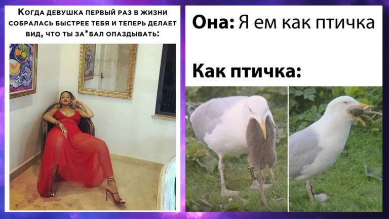 Прикольные картинки с надписями и как ест птичка