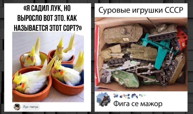 Забавные комментарии, которые как острый соус приправляют сам пост