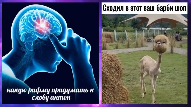 Прикольные картинки с надписями и рифма к слову Антон