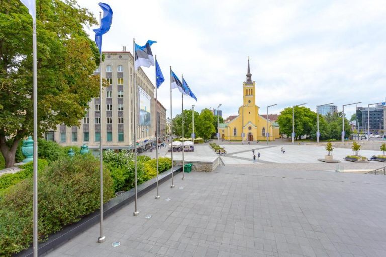 В центре Таллинна сделана уникальная археологическая находка