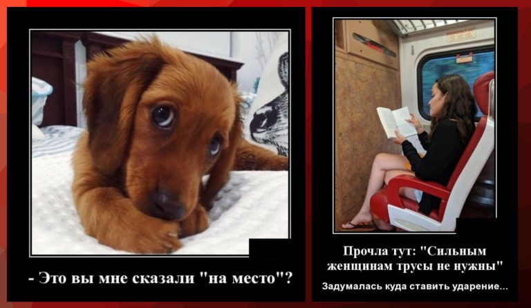 Новые демотиваторы и нужды сильных женщин