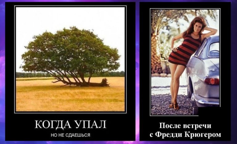 Новые демотиваторы и встреча с Фредди