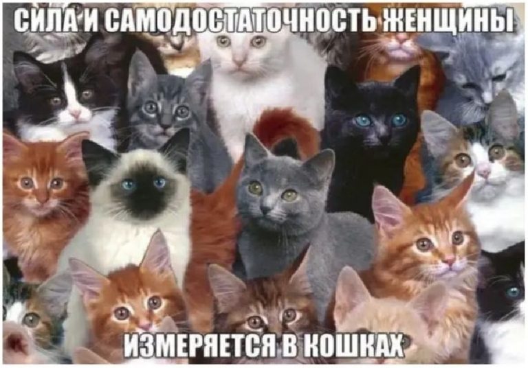 Жизнь без партнера: в чем заключаются плюсы одиноких женщин