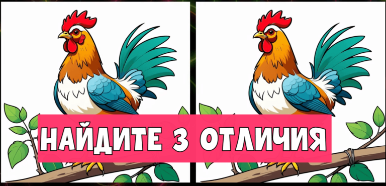 Почувствуй себя орлом: разгляди за 10 секунд 3 отличия в петушиных перьях