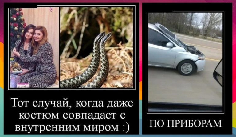 Новые демотиваторы и костюмчики змеи