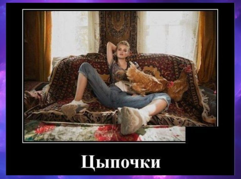 Новые демотиваторы и ципочки на отдыхе